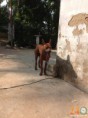 /album/th%c6%b0-vi%e1%bb%87n-%e1%ba%a3nh/image-2-1-jpg/